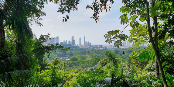 Discover Panama